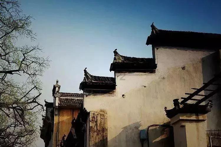 贵阳进入两会时间!贵阳市政协十三届三次会议开幕